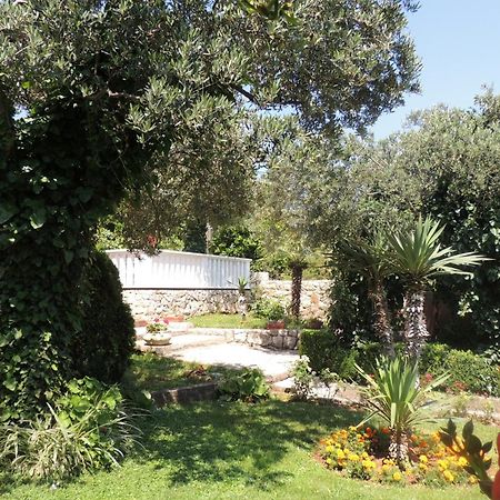 Apartments Travarevic Dubrovnik Eksteriør bilde